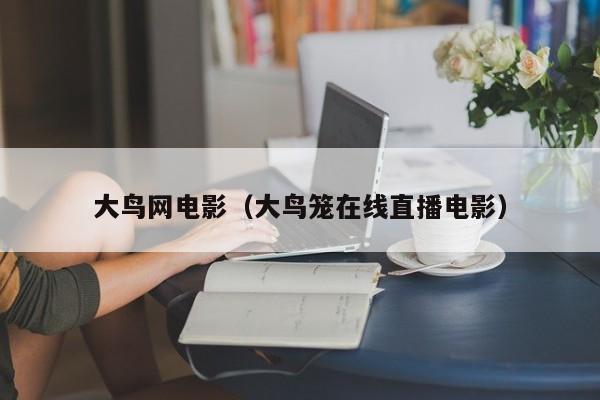 大鸟网电影（大鸟笼在线直播电影）