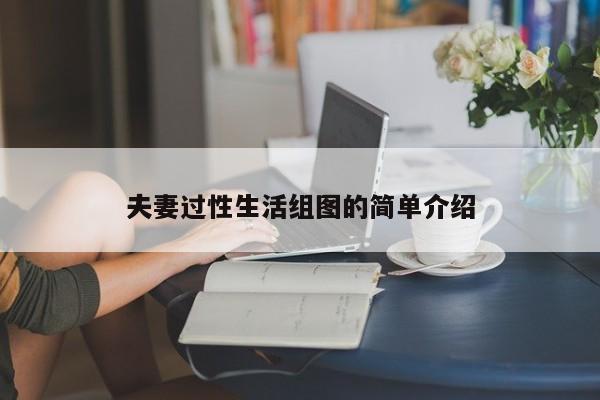 夫妻过性生活组图的简单介绍