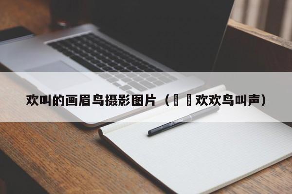 欢叫的画眉鸟摄影图片（囍囍欢欢鸟叫声）