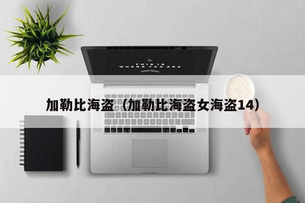加勒比海盗（加勒比海盗女海盗14）