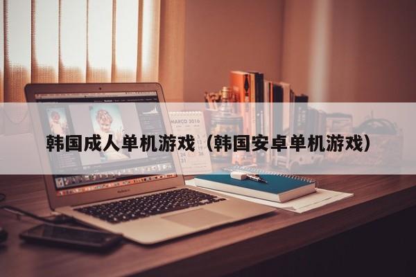 韩国成人单机游戏（韩国安卓单机游戏）