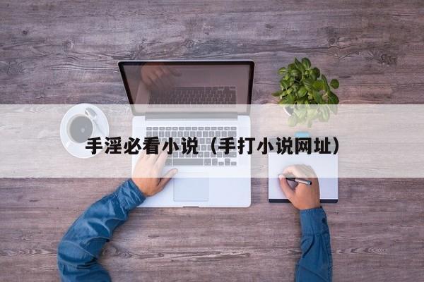 手淫必看小说（手打小说网址）