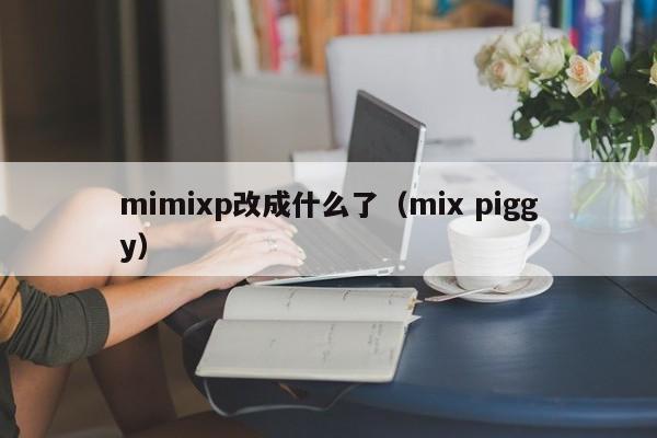 mimixp改成什么了（mix piggy）