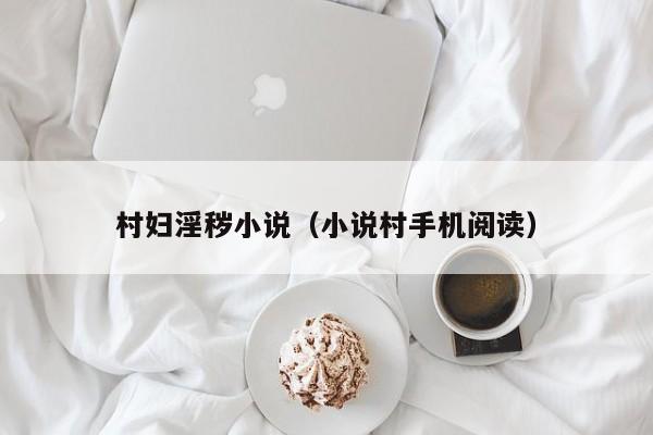 村妇淫秽小说（小说村手机阅读）