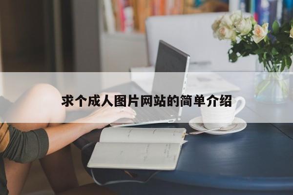 求个成人图片网站的简单介绍