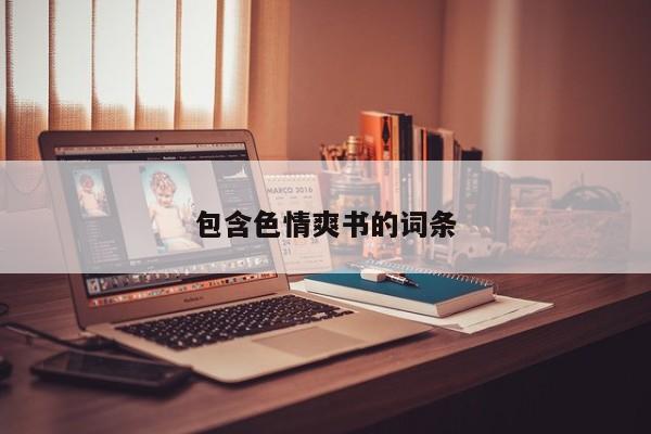 包含色情爽书的词条