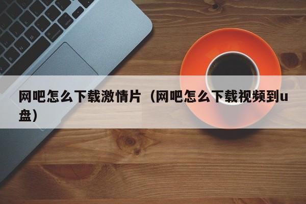 网吧怎么下载激情片（网吧怎么下载视频到u盘）
