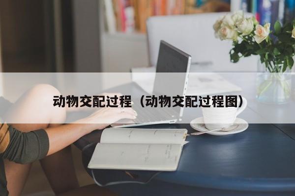 动物交配过程（动物交配过程图）