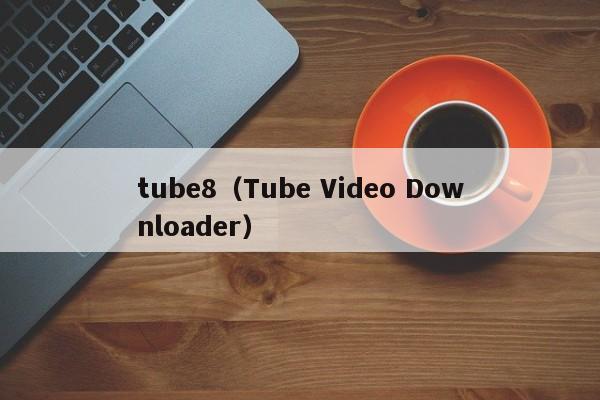 tube8（Tube Video Downloader）