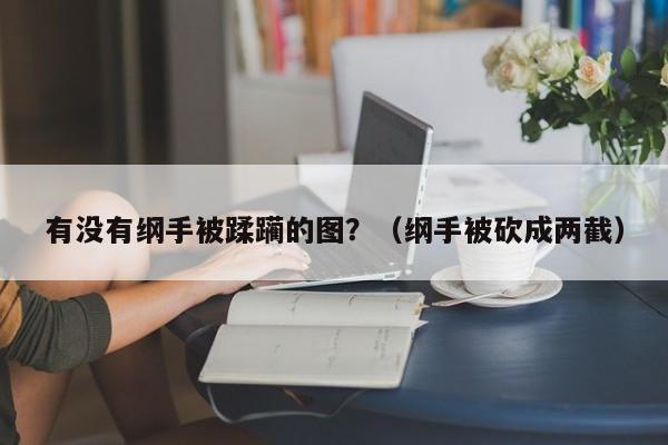 有没有纲手被蹂躏的图？（纲手被砍成两截）