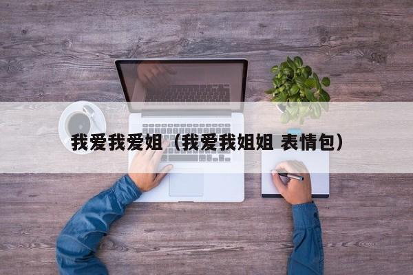 我爱我爱姐（我爱我姐姐 表情包）