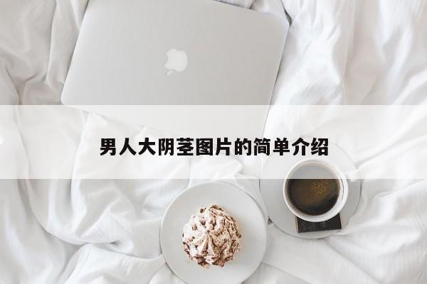 男人大阴茎图片的简单介绍