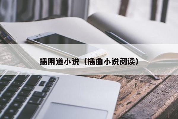 插阴道小说（插曲小说阅读）