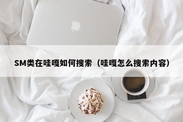 SM类在哇嘎如何搜索（哇嘎怎么搜索内容）