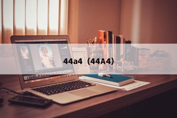 44a4（44A4）