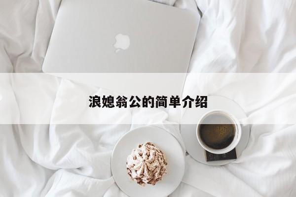 浪媳翁公的简单介绍