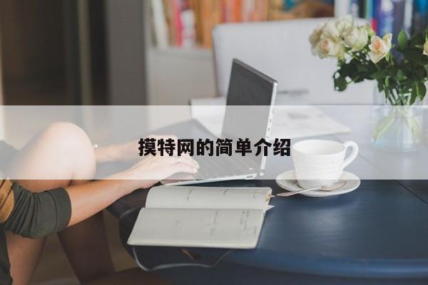 摸特网的简单介绍