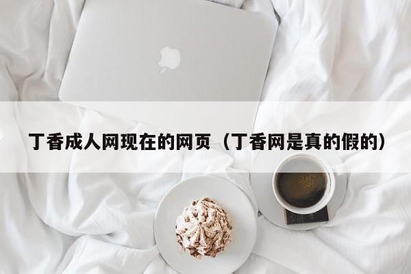 丁香成人网现在的网页（丁香网是真的假的）