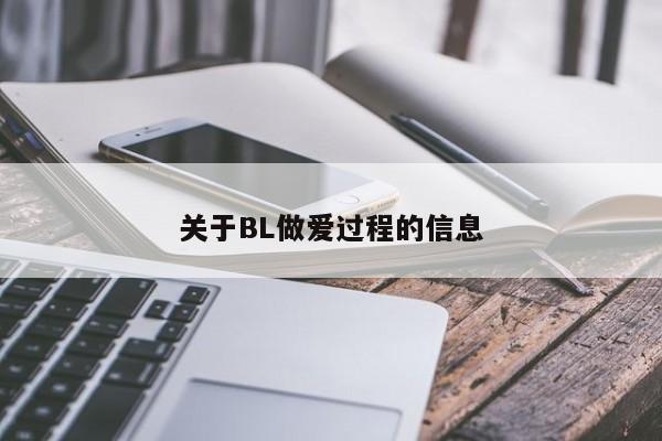 关于BL做爱过程的信息