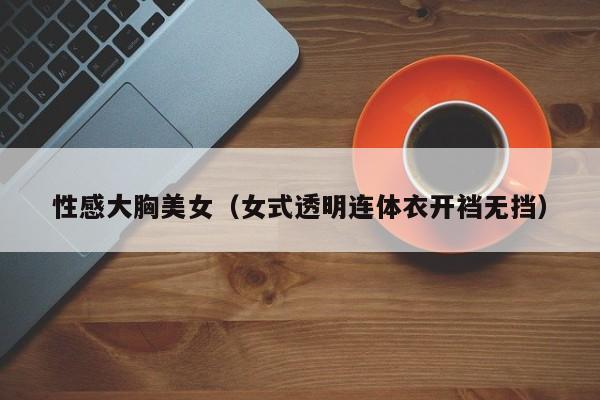 性感大胸美女（女式透明连体衣开裆无挡）