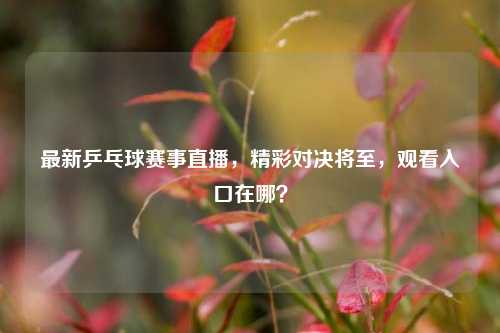 最新乒乓球赛事直播，精彩对决将至，观看入口在哪？