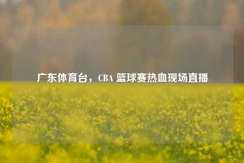 广东体育台，CBA 篮球赛热血现场直播