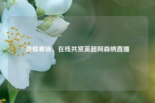 激情赛场，在线共赏英超阿森纳直播