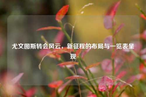 尤文图斯转会风云，新征程的布局与一览表呈现