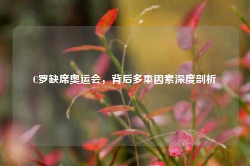C罗缺席奥运会，背后多重因素深度剖析