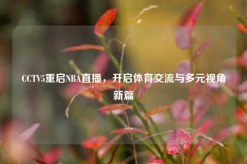 CCTV5重启NBA直播，开启体育交流与多元视角新篇