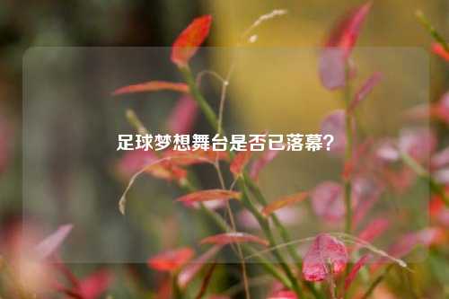 足球梦想舞台是否已落幕？