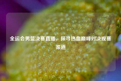 全运会男篮决赛直播，探寻热血巅峰对决观赛渠道