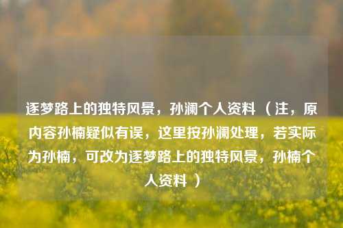 逐梦路上的独特风景，孙澜个人资料 （注，原内容孙楠疑似有误，这里按孙澜处理，若实际为孙楠，可改为逐梦路上的独特风景，孙楠个人资料 ）