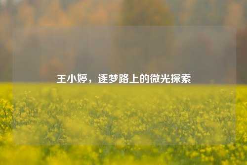 王小婷，逐梦路上的微光探索
