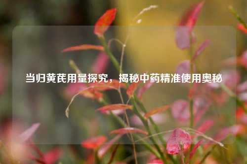 当归黄芪用量探究，揭秘中药精准使用奥秘