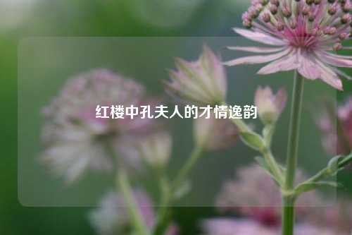 红楼中孔夫人的才情逸韵