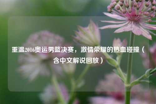 重温2016奥运男篮决赛，激情荣耀的热血碰撞（含中文解说回放）