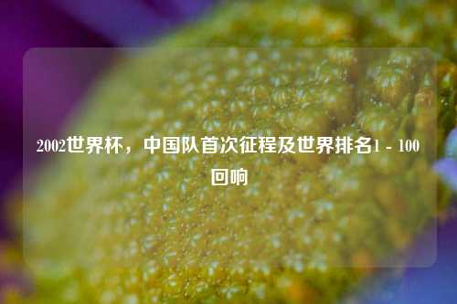 2002世界杯，中国队首次征程及世界排名1 - 100回响