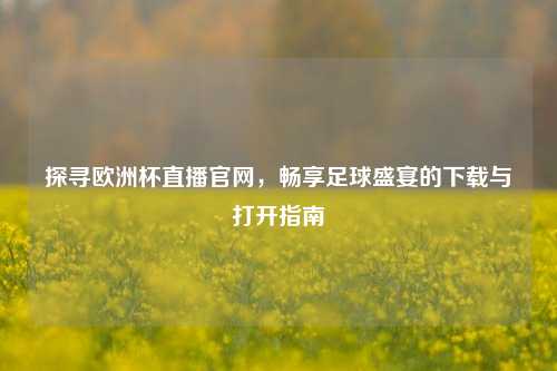 探寻欧洲杯直播官网，畅享足球盛宴的下载与打开指南