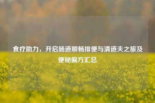 食疗助力，开启肠道顺畅排便与清道夫之旅及便秘偏方汇总
