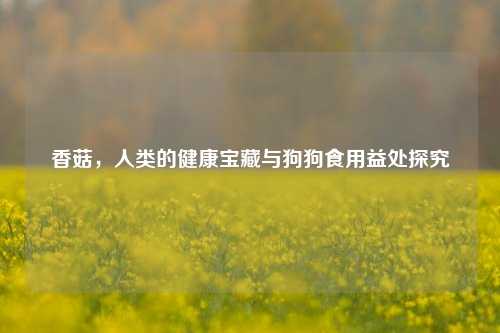 香菇，人类的健康宝藏与狗狗食用益处探究