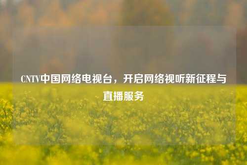 CNTV中国网络电视台，开启网络视听新征程与直播服务