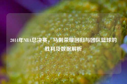 2014年NBA总决赛，马刺荣耀回归与团队篮球的胜利及数据解析