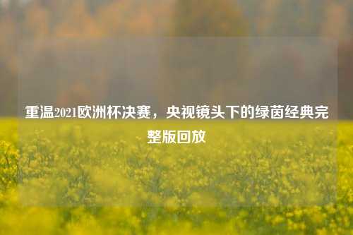 重温2021欧洲杯决赛，央视镜头下的绿茵经典完整版回放