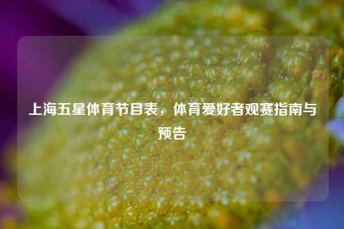 上海五星体育节目表，体育爱好者观赛指南与预告