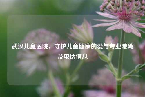 武汉儿童医院，守护儿童健康的爱与专业港湾及电话信息