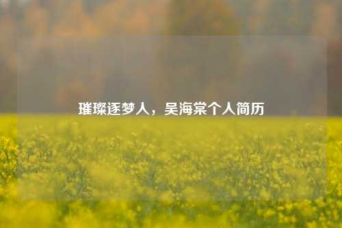 璀璨逐梦人，吴海棠个人简历