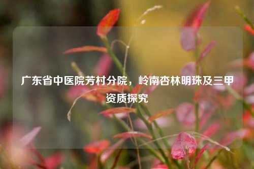 广东省中医院芳村分院，岭南杏林明珠及三甲资质探究
