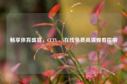 畅享体育盛宴，CCTV - 5在线免费高清观看指南