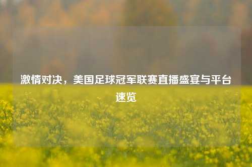 激情对决，美国足球冠军联赛直播盛宴与平台速览